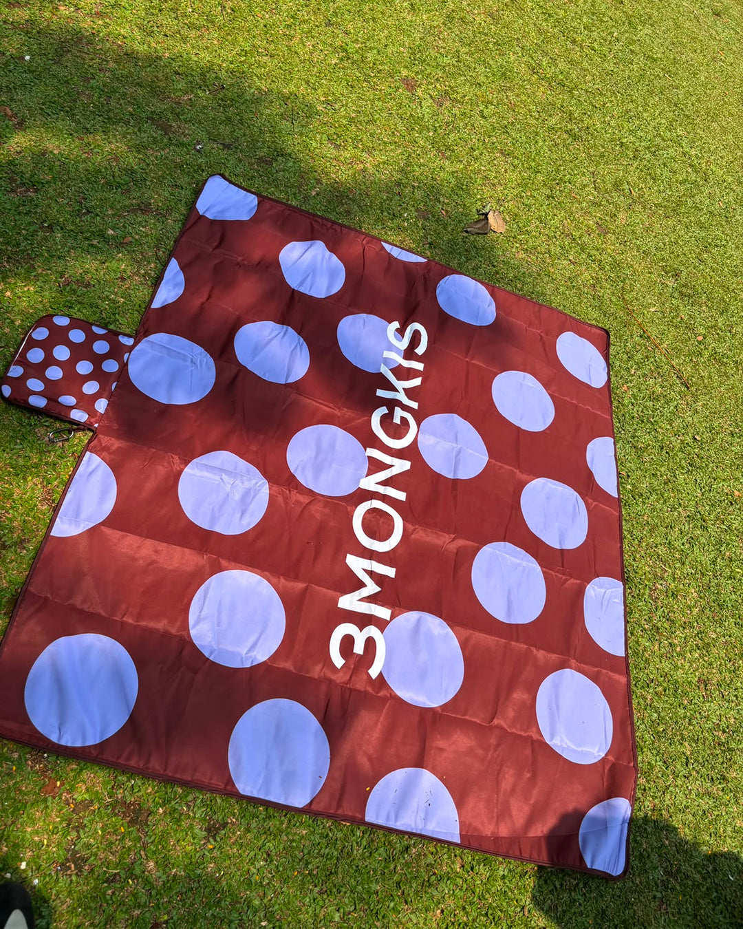 Picnic Mat
